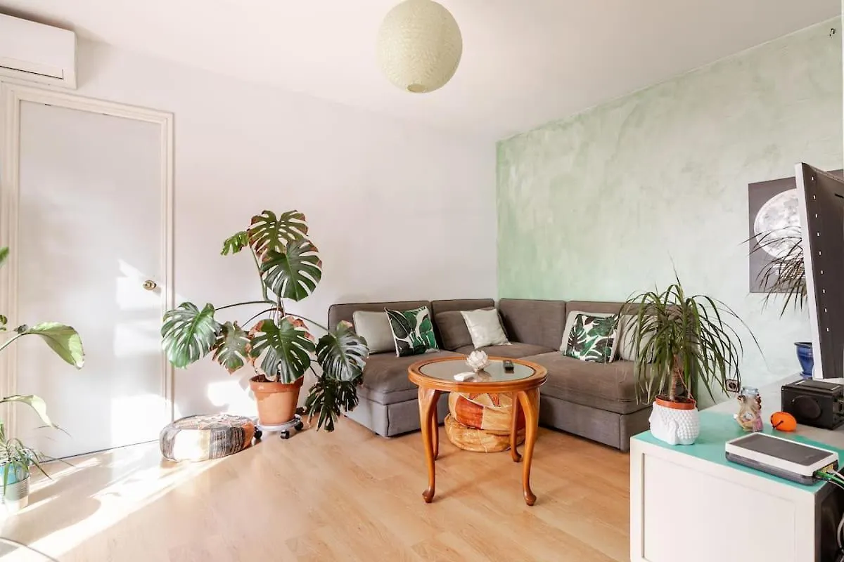 Homestay Atico Soleado Apartment Esplugues de Llobregat